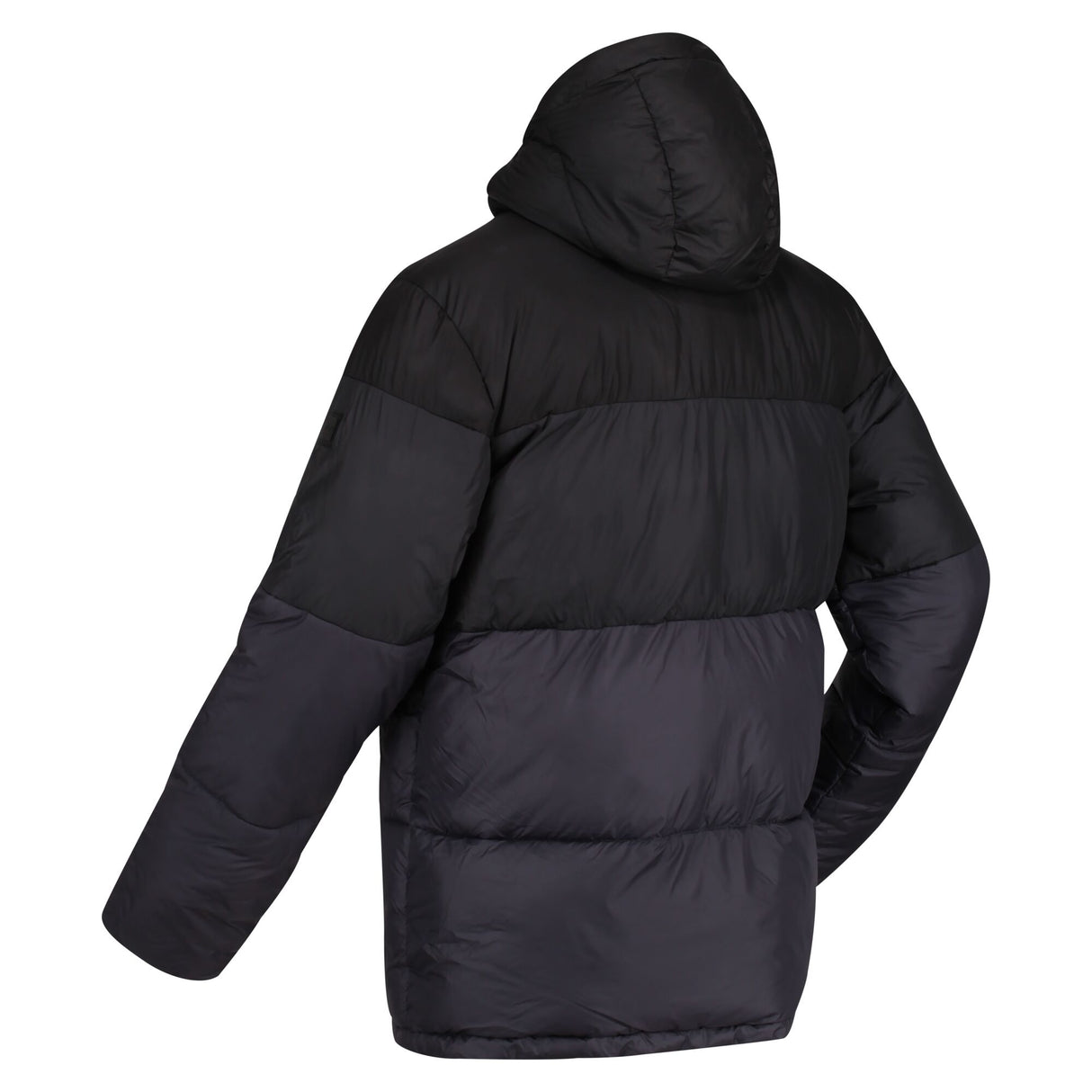 Regatta Mens Carnan Hooded Padded Jacket