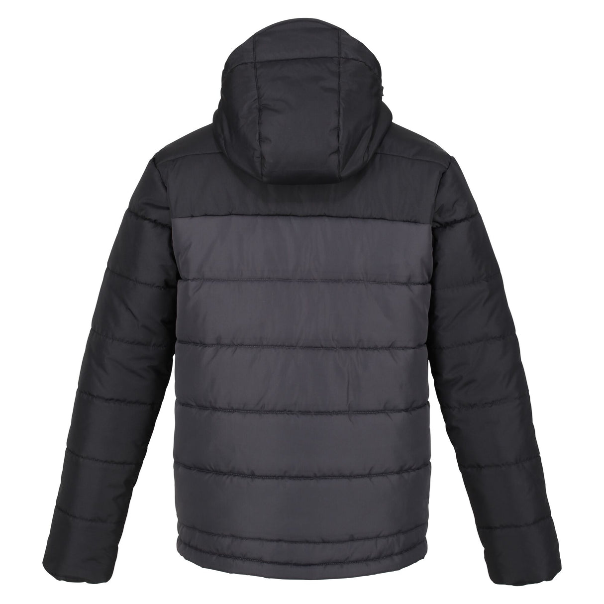 Regatta Mens Loughton Insulated Hooded Puffer Jacket