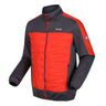 Regatta Mens Clumber II Quilted Hybrid Jacket