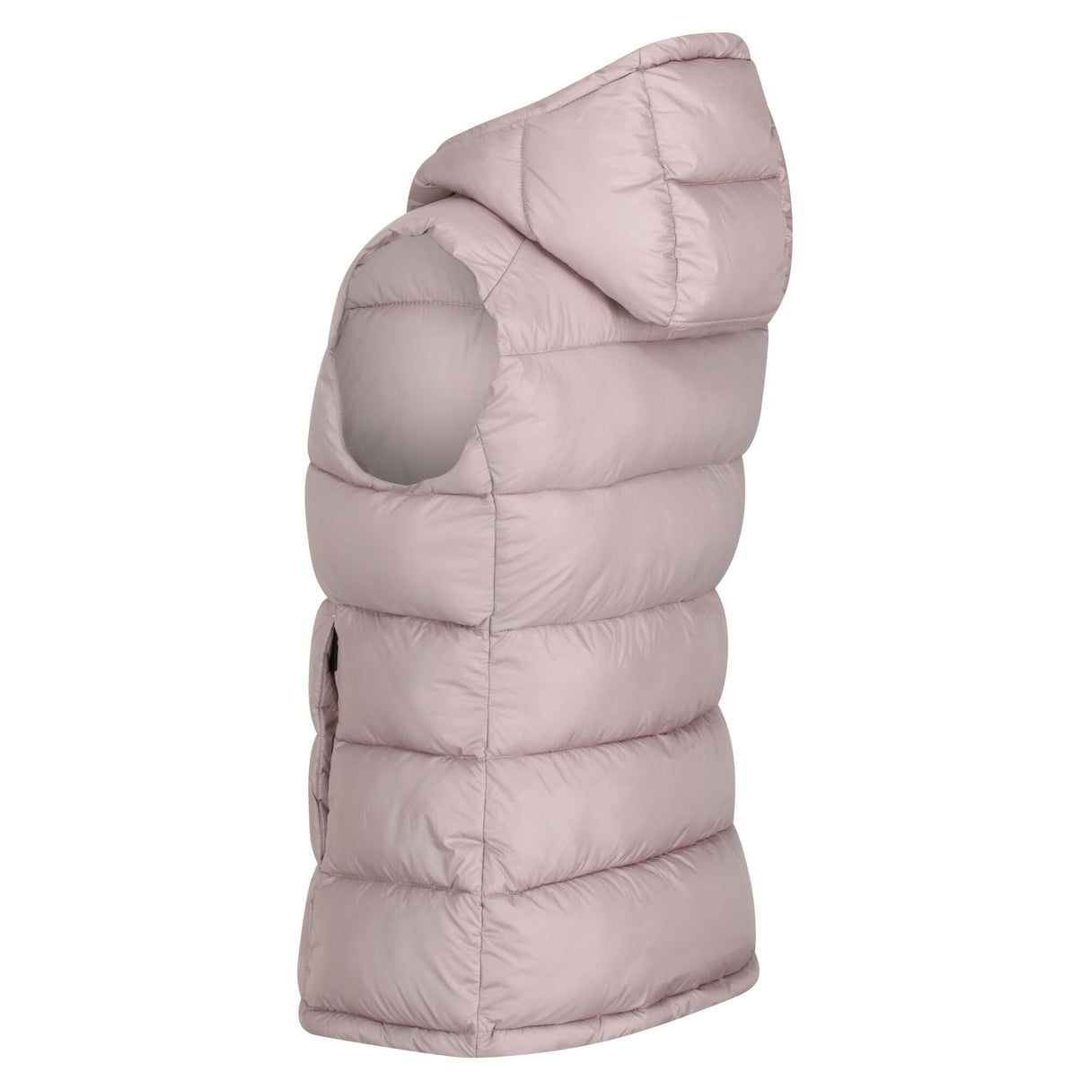 Regatta Womens Dawnby Hooded Padded Bodywarmer