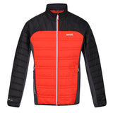 Regatta Mens Halton V Lightweight Insulated Padded Jacket