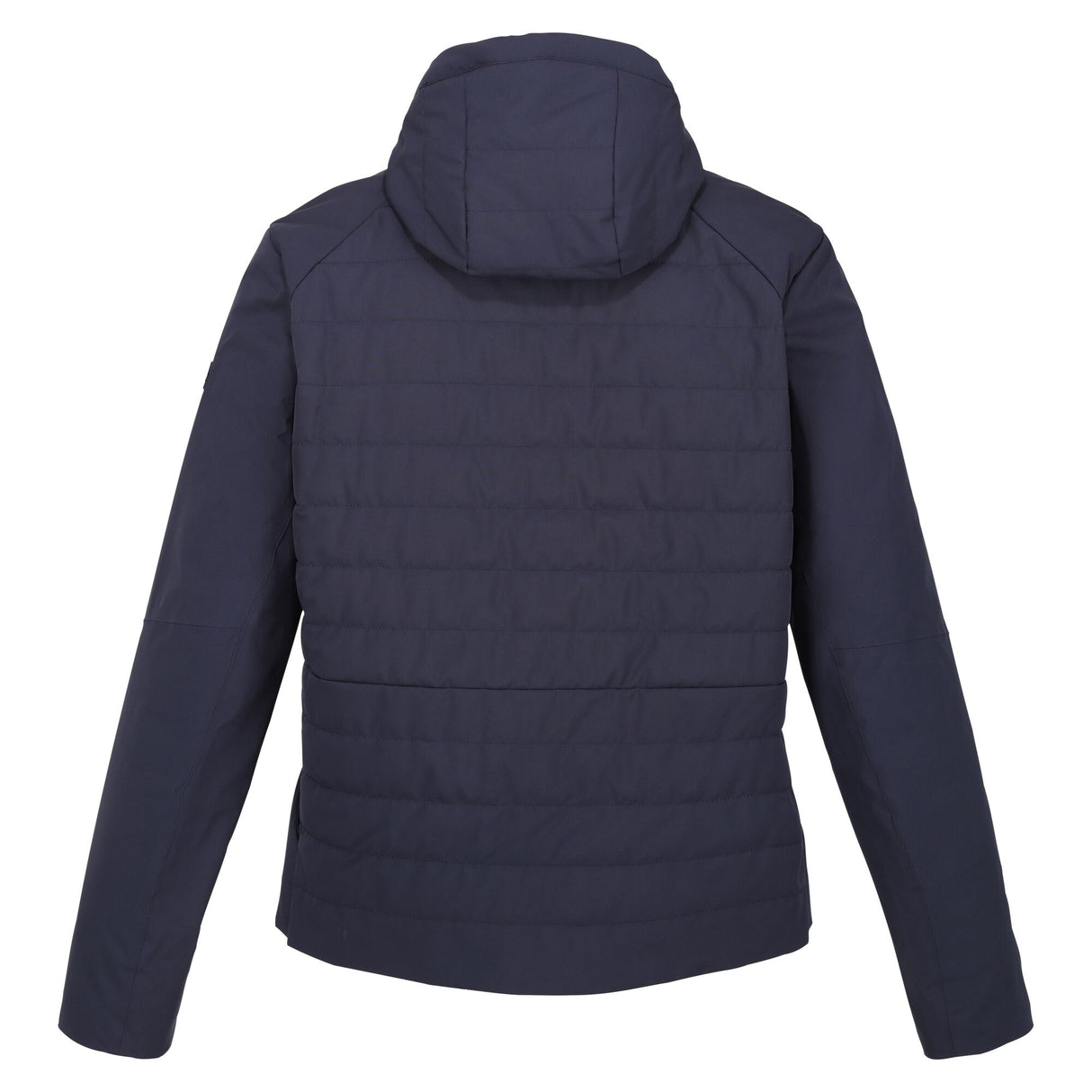 Regatta Mens Daxford Winter Hooded Insulated Jacket