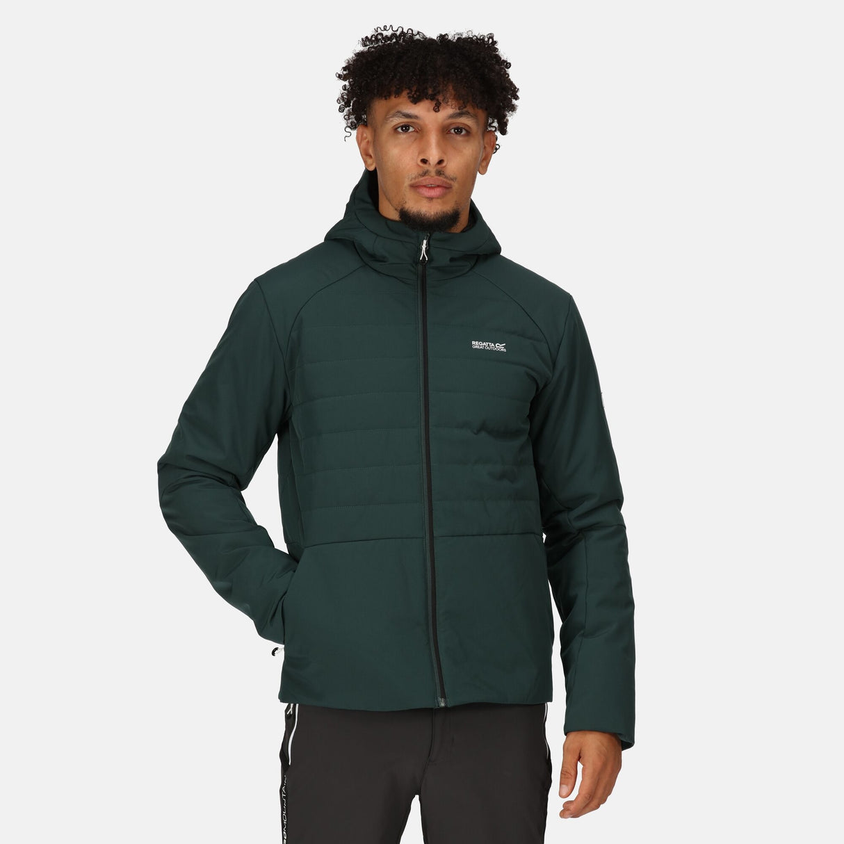 Regatta Mens Daxford Winter Hooded Insulated Jacket