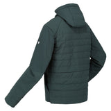 Regatta Mens Daxford Winter Hooded Insulated Jacket