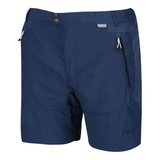 Regatta Mens Sungari II Lightweight Stretch Shorts