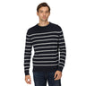 Regatta Mens Cautley Knitted Jumper