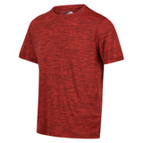 Regatta Mens Fingal Edition Marl Short Sleeve T Shirt
