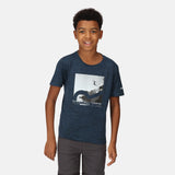 Regatta Kids Alvarado VII Graphic Print T Shirt