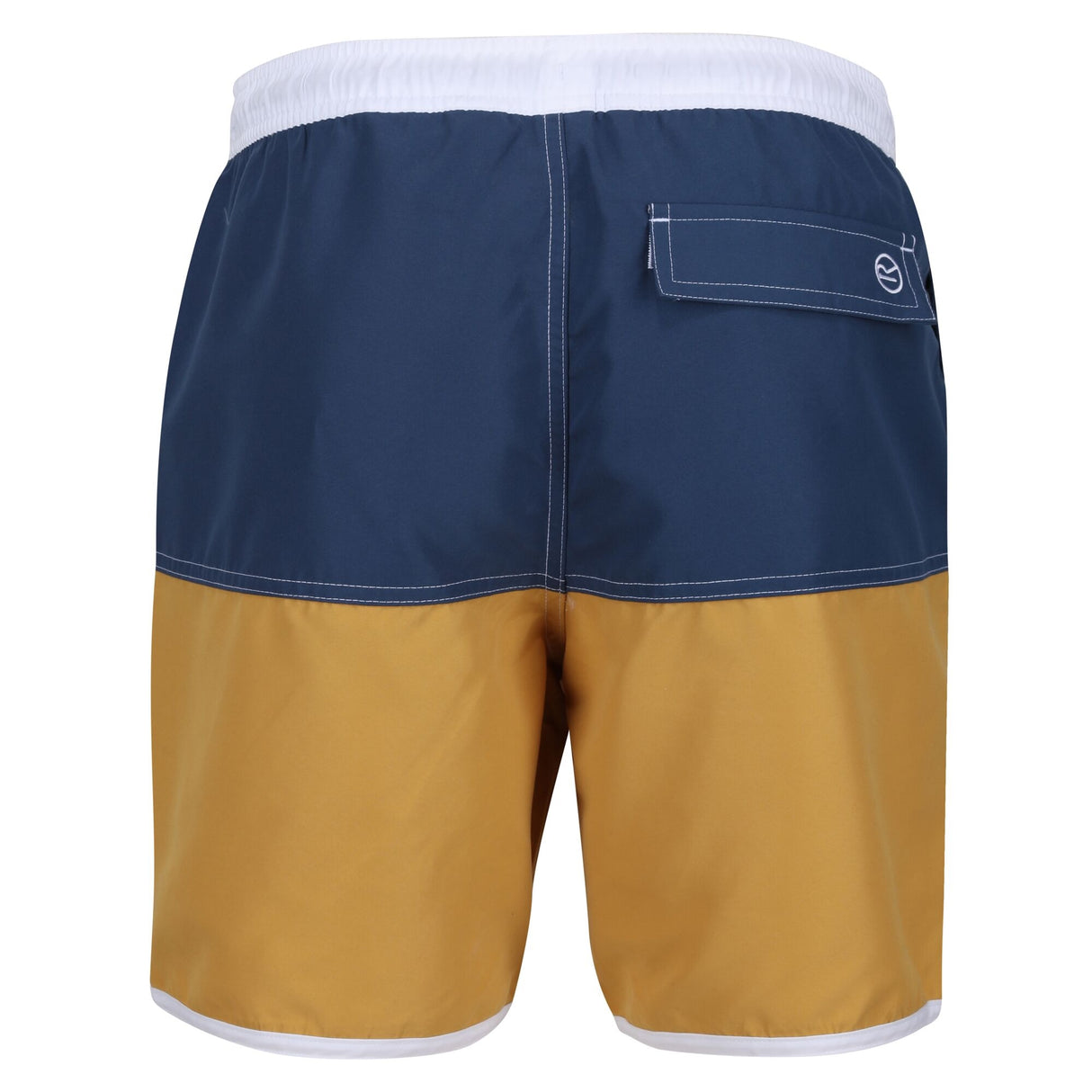 Regatta Mens Benicio Swim Shorts