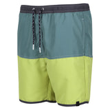 Regatta Mens Benicio Swim Shorts