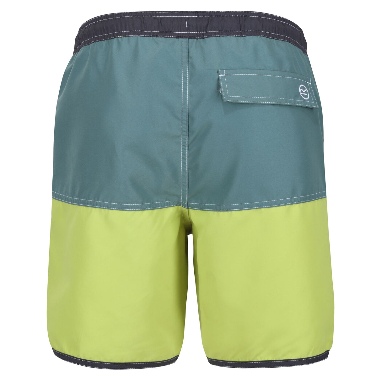 Regatta Mens Benicio Swim Shorts