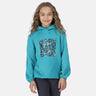 Regatta Kids Junior Highton Extol Stretch Printed Hoody