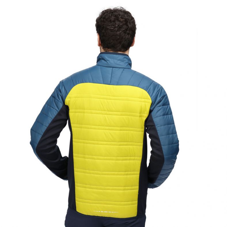 Regatta Mens Halton V Lightweight Insulated Padded Jacket