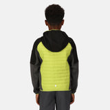 Regatta Kids Kielder Hybrid VI Softshell Hybrid Jacket