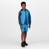 Regatta Kids Kielder Hybrid VI Softshell Hybrid Jacket