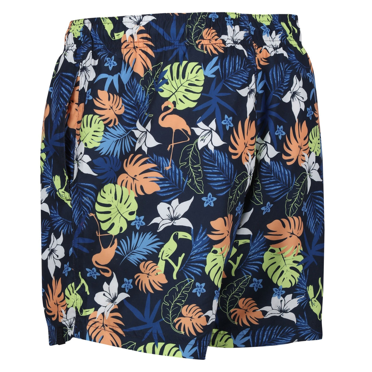 Regatta Mens Loras Swim Shorts