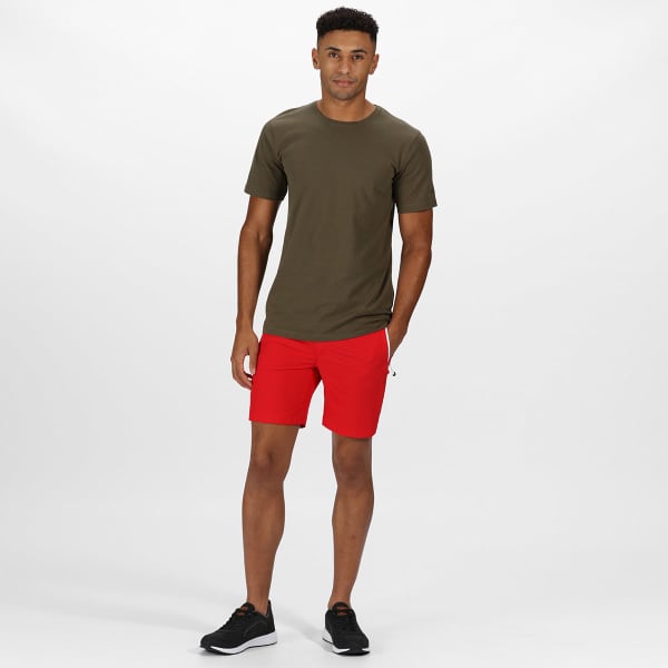 Regatta Mens Mountain Lightweight Shorts