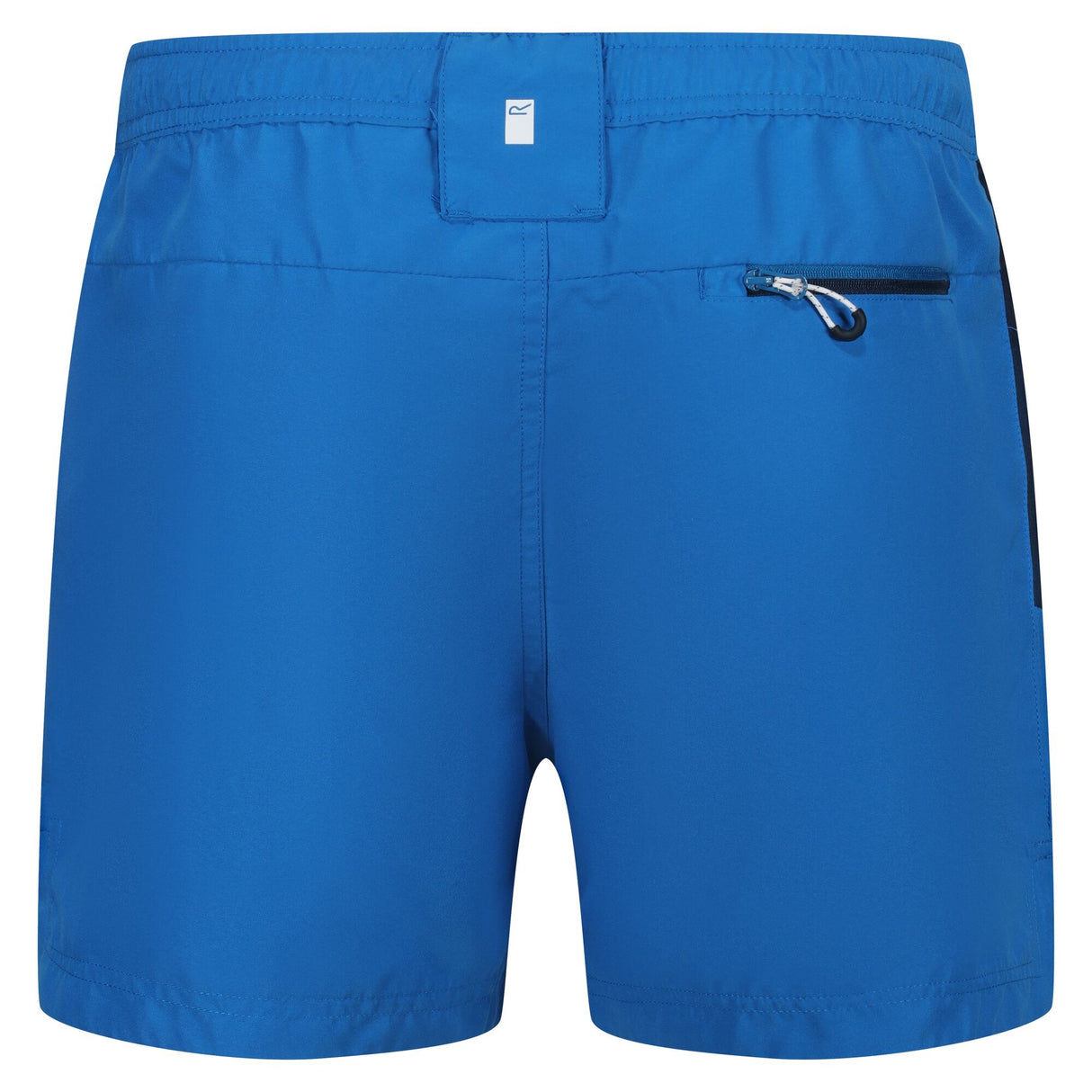 Regatta Mens Rehere Swim Shorts