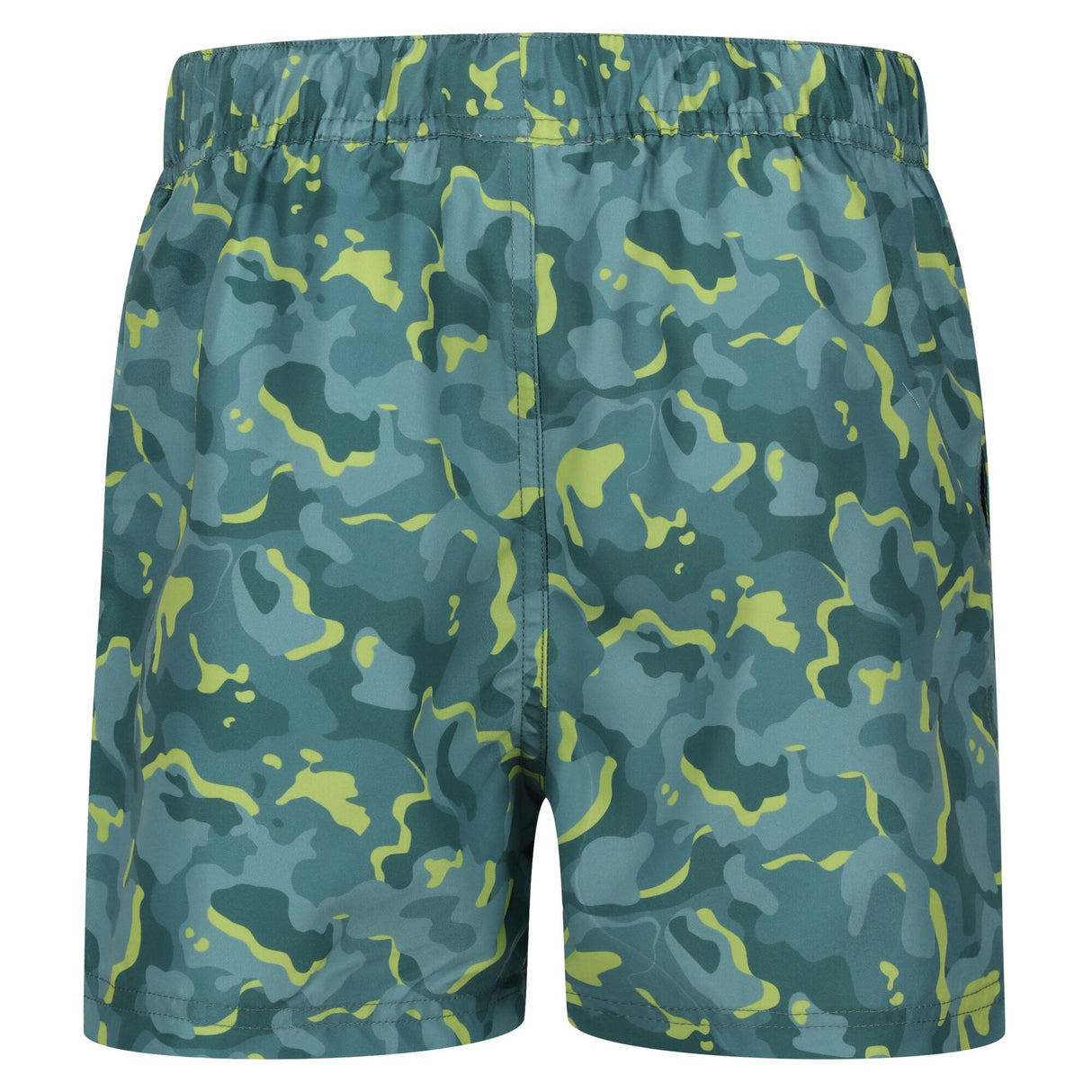 Regatta Kids Skander II Lined Swim Shorts