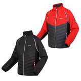 Regatta Mens Steren Softshell Insulated Hybrid Jacket