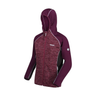 Regatta Womens Walbury Hooded Softshell Jacket